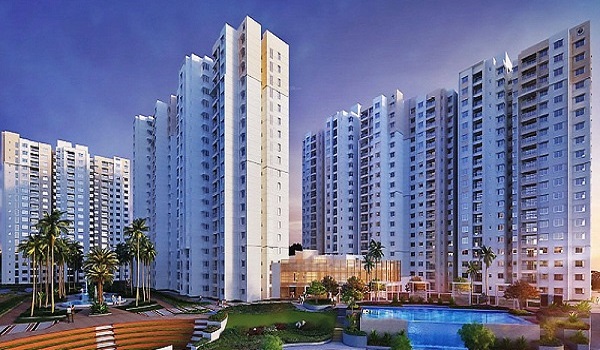 Featured Image of Prestige Forest Edge