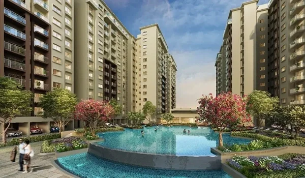 Featured Image of Purva Eminora